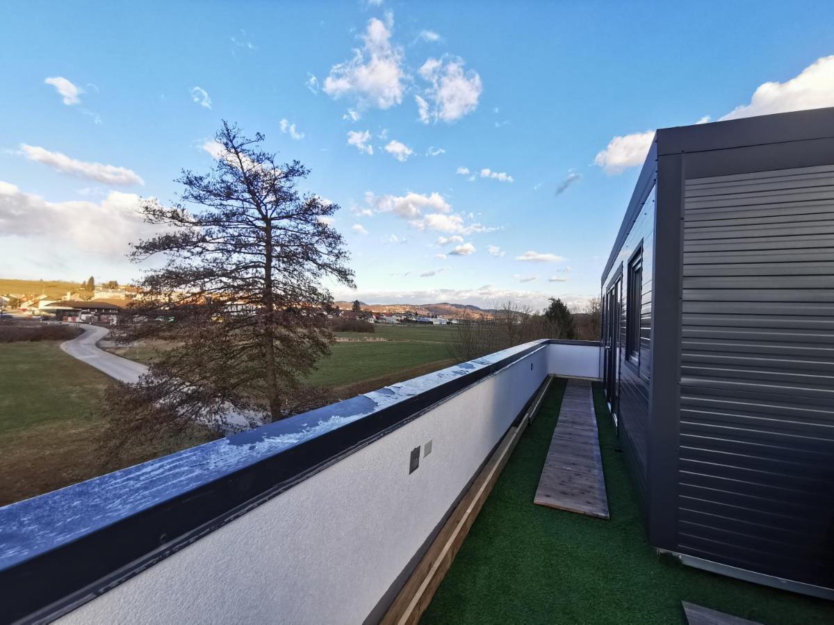 Apartment Roof Art-pe *